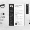CV Template Free Download 50