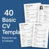 40 Professional CV Templates Download